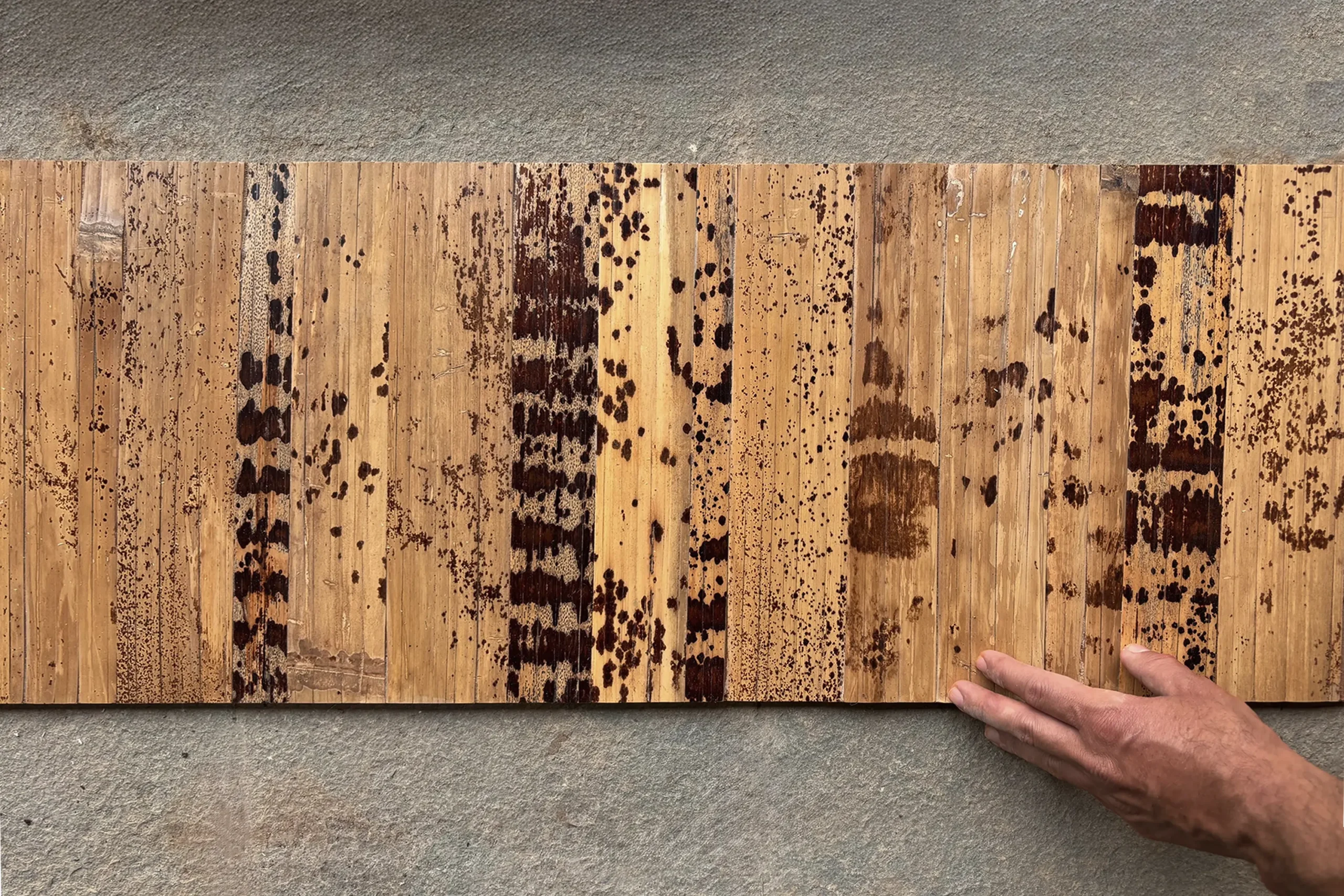 FOLDING SCREEN