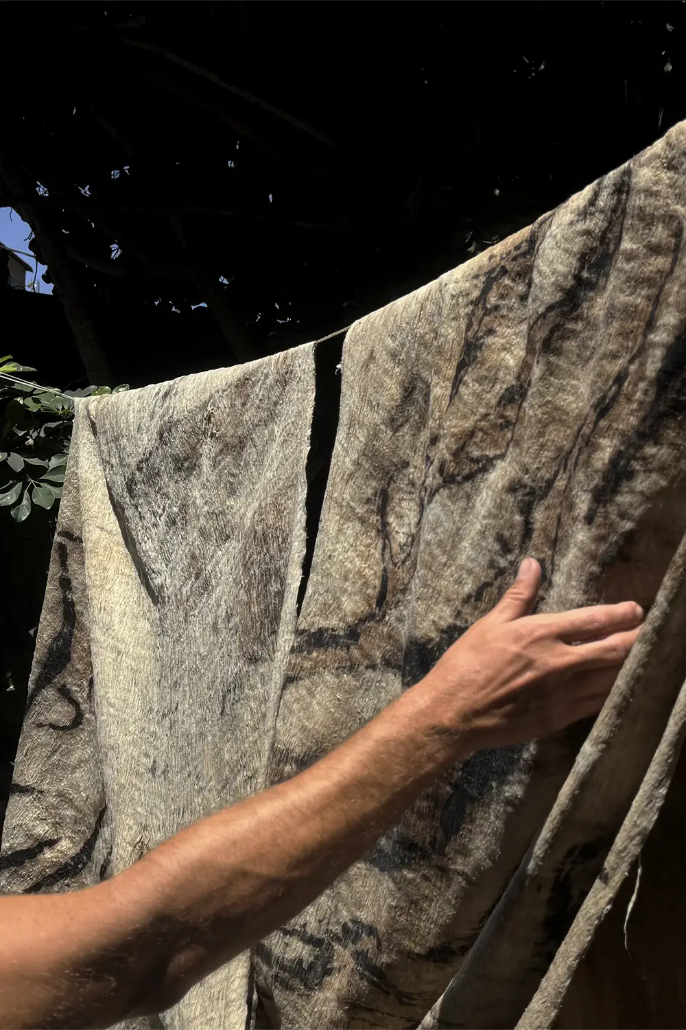 INTERTROPICAL – TRACES OF WATER