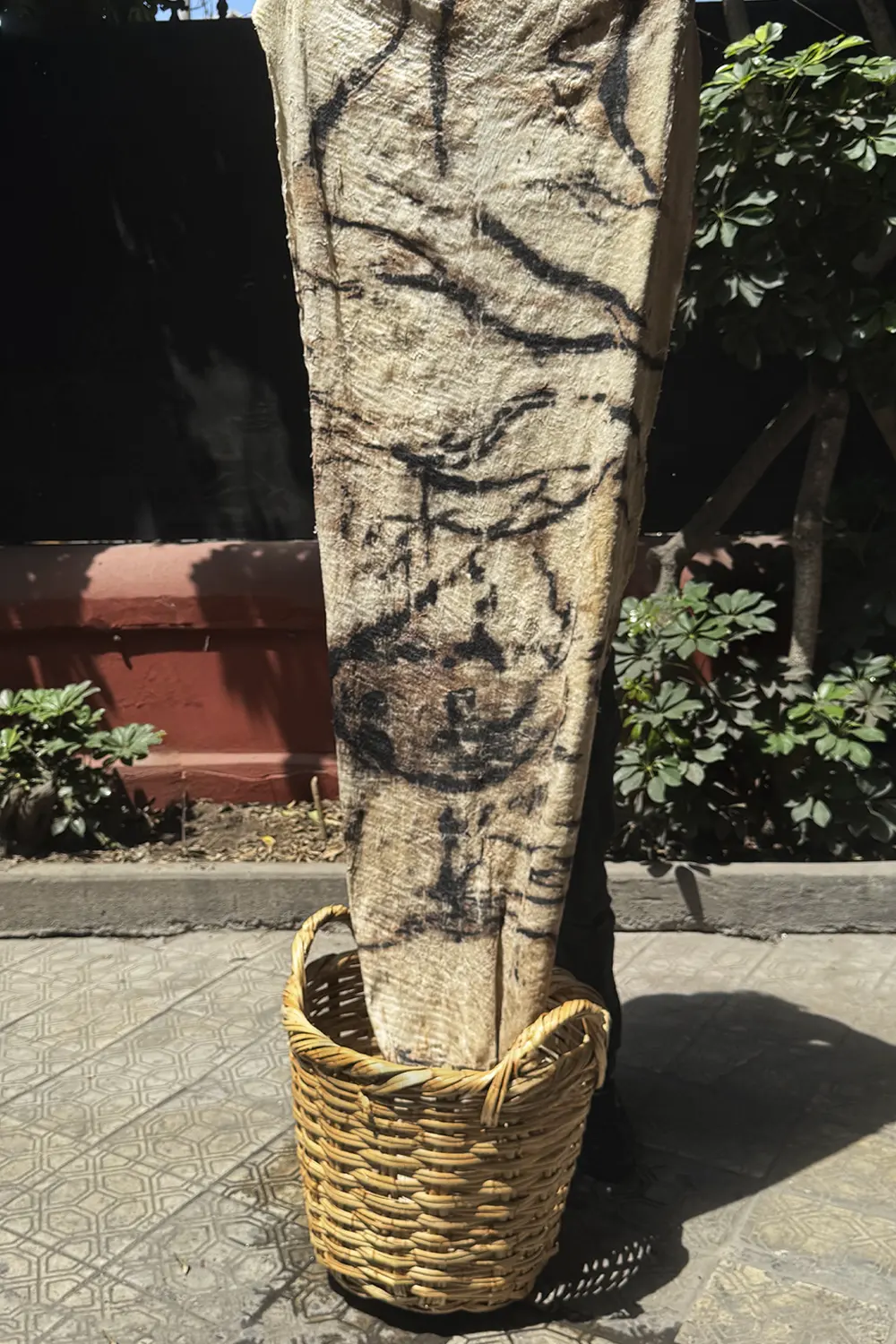 INTERTROPICAL – TRACES OF WATER